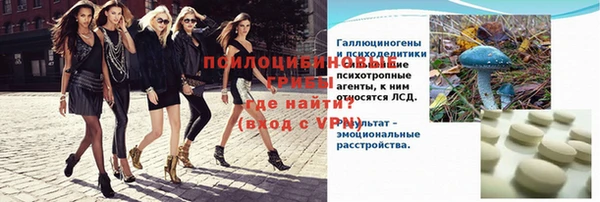 меф Няндома