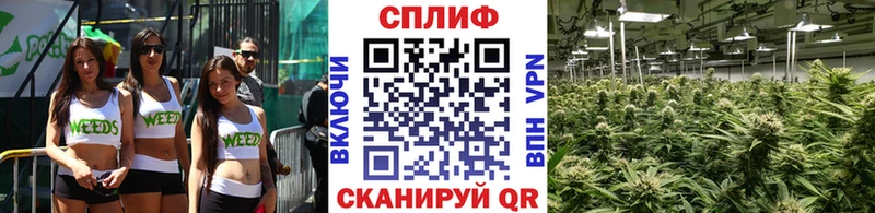 Канабис ГИДРОПОН  Шиханы 